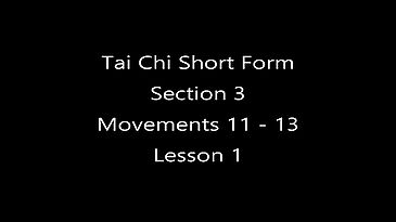 Tai Chi Section Three - Lesson 1
